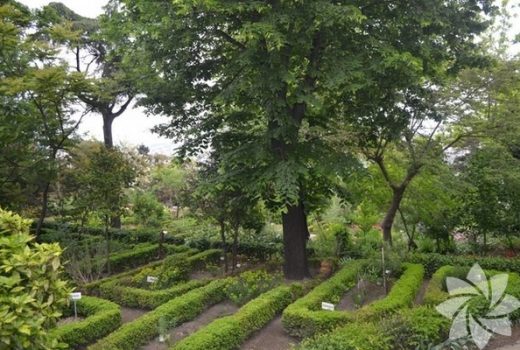 İstanbul’un botanik parkları